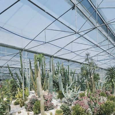 Type Roof Glass Commercial Greenhouse Hydroponic Setup for Year-Round Availability