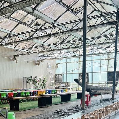 Initial Payment Chinese Origin Glass Greenhouse with Hydroponic System Multi Span