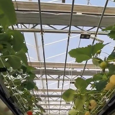 Glass Greenhouse Hydroponic Vegetable Setup Shipping Cost and Estimated Delivery Time