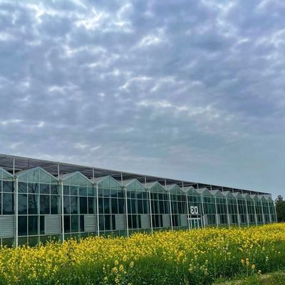 Sleek Glass Greenhouse with Hydroponic Vegetable Setup Enhance Your Farming Efficiency