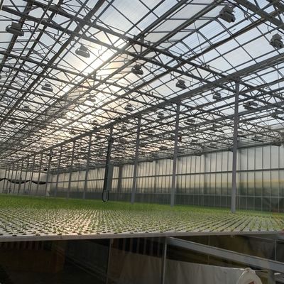 Sleek Glass Greenhouse with Hydroponic Vegetable Setup Enhance Your Farming Efficiency