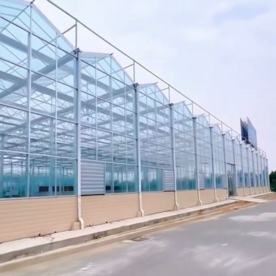 Chinese Origin Glass Greenhouse with Hydroponic Vegetables Package Gross Weight 80.000kg