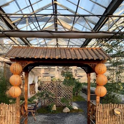 Chinese Origin Glass Greenhouse with Hydroponic Vegetables Package Gross Weight 80.000kg