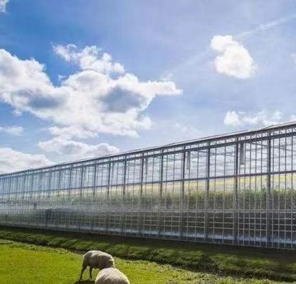 Hydroponics Glass Greenhouse with Shading Screen System Package Gross Weight 80.000kg