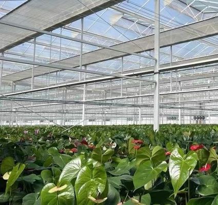 Hydroponics Glass Greenhouse with Shading Screen System Package Gross Weight 80.000kg