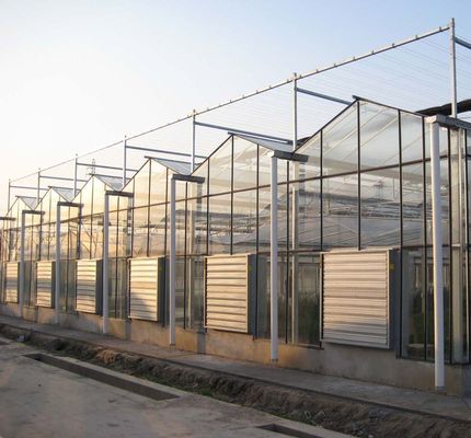 Hydroponics Glass Greenhouse with Shading Screen System Package Gross Weight 80.000kg