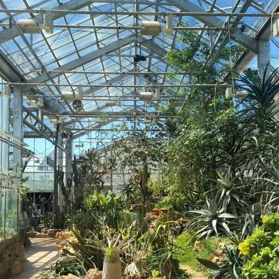 Advanced Hydroponic Vegetable Growing In Large Glass Greenhouse