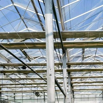 A Type Roof Glass Greenhouse for Hydroponic Vegetables Optimal Growing Conditions