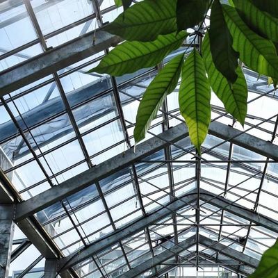 Glass Greenhouse for Hydroponic Vegetable Cultivation Package Gross Weight 80.000kg