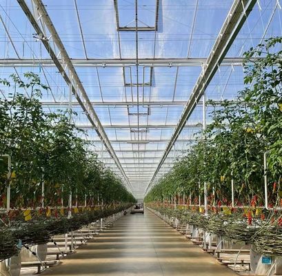US Float Single Span Greenhouse for Vegetables/Fruits/Flowers and Return refunds