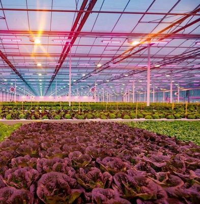 US Float Single Span Greenhouse for Vegetables/Fruits/Flowers and Return refunds