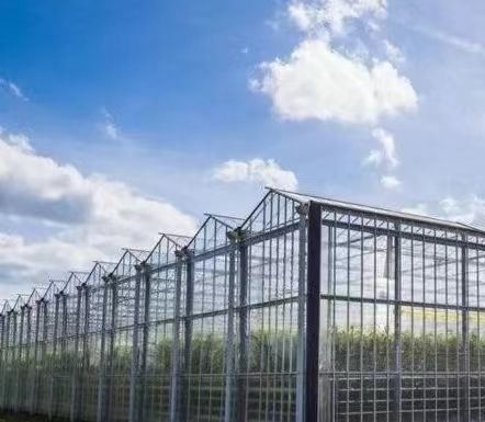 US Float Single Span Greenhouse for Vegetables/Fruits/Flowers and Return refunds