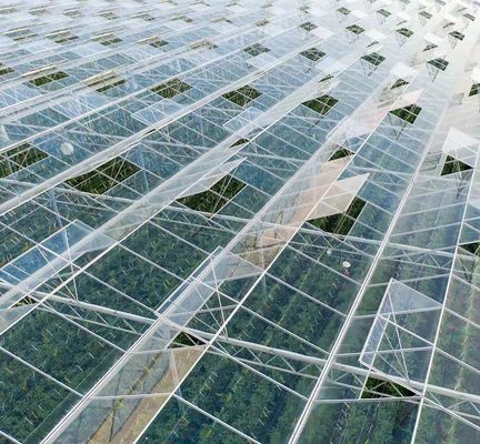 US Float Single Span Greenhouse for Vegetables/Fruits/Flowers and Return refunds