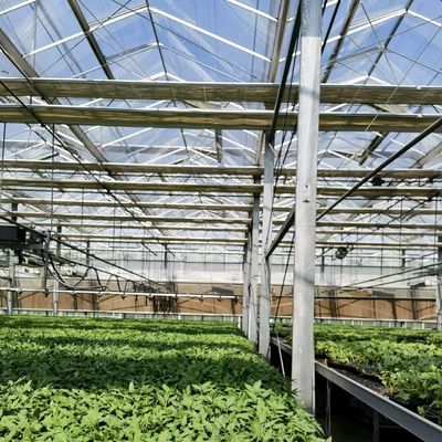 Double Layer Glass Greenhouse Hydroponic System with Multi-Span Technology Integration