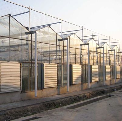 Vegetable Tree Cultivation Multi Shading Screen System Greenhouse in Steel Structure