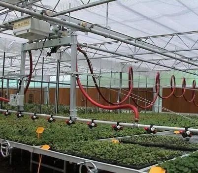 Vegetable Tree Cultivation Multi Shading Screen System Greenhouse in Steel Structure