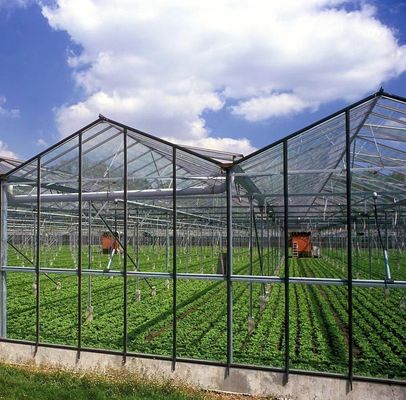 Vegetable Tree Cultivation Multi Shading Screen System Greenhouse in Steel Structure