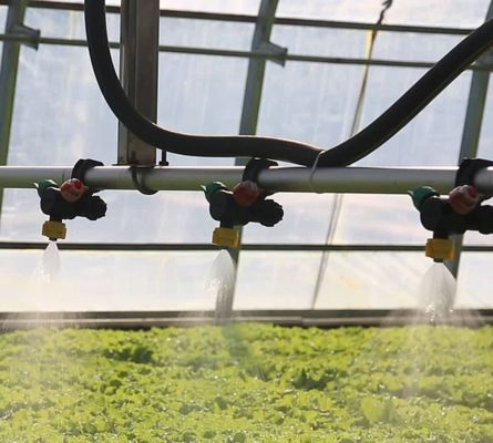 Vegetable Tree Cultivation Multi Shading Screen System Greenhouse in Steel Structure