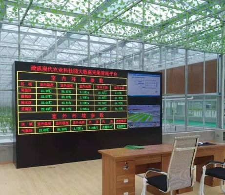 Commercial Greenhouse JX-h0075 Hydroponic Growing System for Vegetable Production