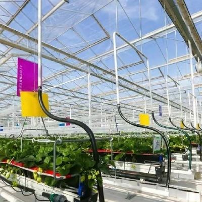 Roofing Shape A Type Roof Hydroponic System For Glass Greenhouse Vegetables