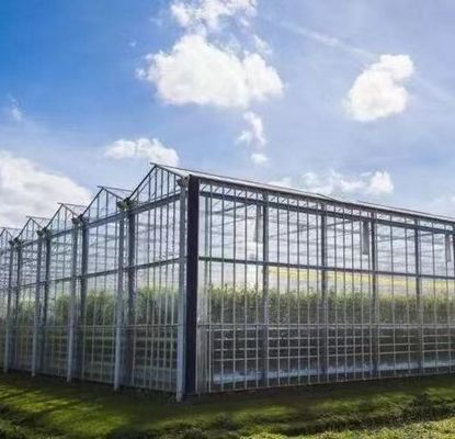 Steel Structure Venlo Hydroponics Growing System for Hydroponic Vegetable Cultivation