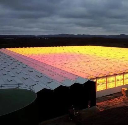 Steel Structure Venlo Hydroponics Growing System for Hydroponic Vegetable Cultivation