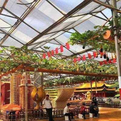 Innovative Design and Innovative Hydroponic Glass Greenhouse for Growing Vegetables
