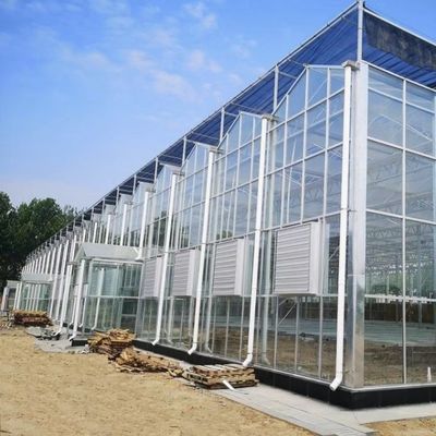 Hydroponic Growing System Glass Greenhouse for Double Layer Roofing Shape a Type Roof