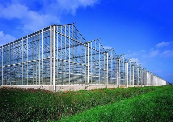 80.000kg Package Gross Weight Glass Greenhouse with Hydroponics and Shipping Cost