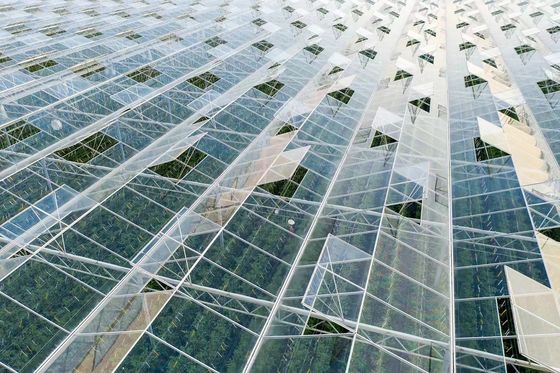 80.000kg Package Gross Weight Glass Greenhouse with Hydroponics and Shipping Cost