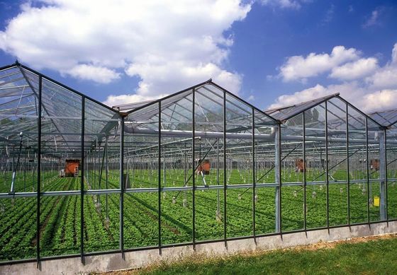 80.000kg Package Gross Weight Glass Greenhouse with Hydroponics and Shipping Cost