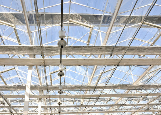 80.000kg Package Gross Weight Glass Greenhouse with Hydroponics and Shipping Cost