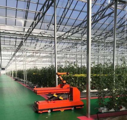 Double Layer Vegetable Planting Greenhouse with Drip Irrigation and Steel Structure