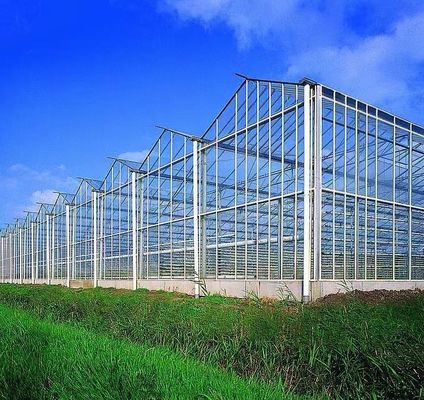 Double Layer Vegetable Planting Greenhouse with Drip Irrigation and Steel Structure