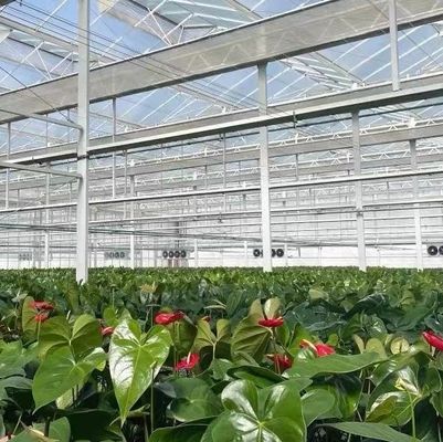 Double Layer Vegetable Planting Greenhouse with Drip Irrigation and Steel Structure
