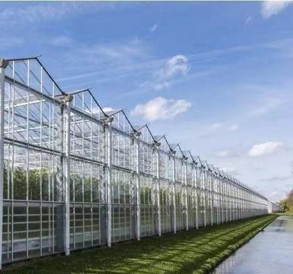 Double Layer Vegetable Planting Greenhouse with Drip Irrigation and Steel Structure
