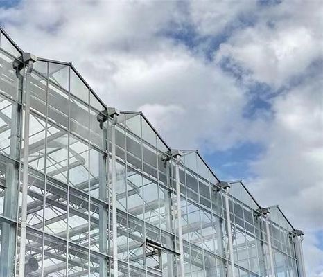 Type Roof Hydroponics Growing System Suitable for Your Customer's Requirements