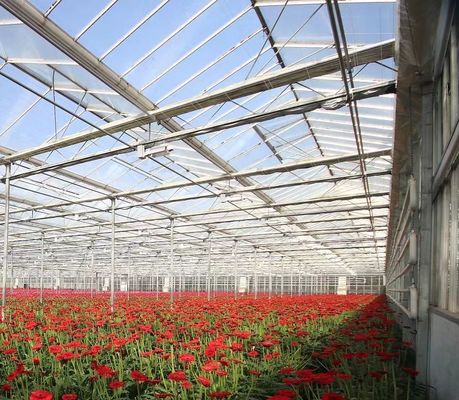 Type Roof Hydroponics Growing System Suitable for Your Customer's Requirements