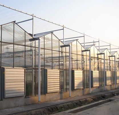 Type Roof Hydroponics Growing System Suitable for Your Customer's Requirements