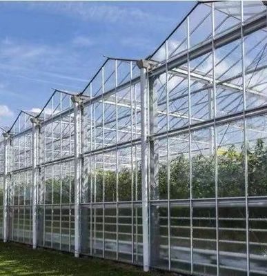 Type Roof Hydroponics Growing System Suitable for Your Customer's Requirements