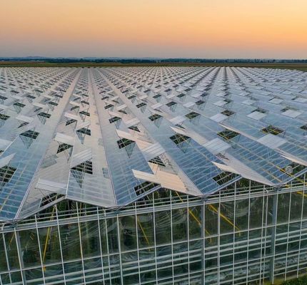 Type Roof Hydroponics Growing System Suitable for Your Customer's Requirements