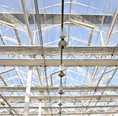 Roofing Shape Multi Span Type Glass Greenhouse With Hydroponics