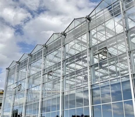 Roofing Shape Multi Span Type Glass Greenhouse With Hydroponics