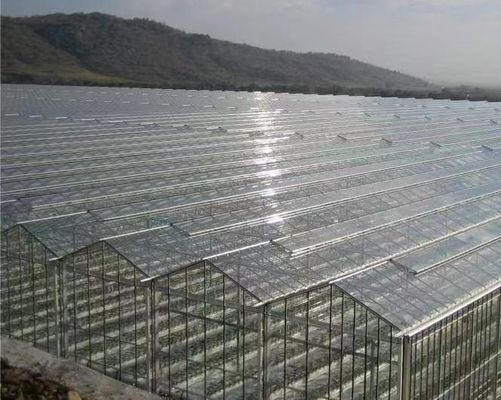 Good Light Transmission Glass Cover Venlo Greenhouse with Customization Option