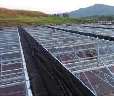 Good Light Transmission Glass Cover Venlo Greenhouse with Customization Option