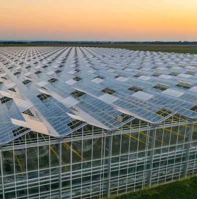 Good Light Transmission Glass Cover Venlo Greenhouse with Customization Option