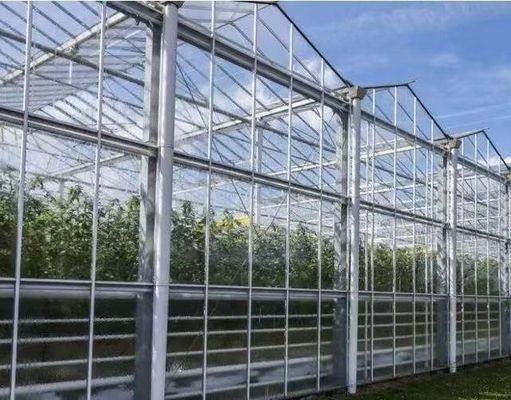 Good Light Transmission Glass Cover Venlo Greenhouse with Customization Option