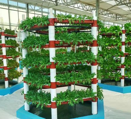 Seeding/Vegetables/Fruit/Flower Controlled Environment Hydroponic Seedling Greenhouse
