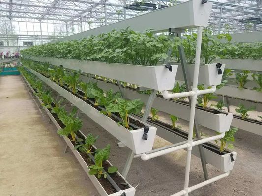 Seeding/Vegetables/Fruit/Flower Controlled Environment Hydroponic Seedling Greenhouse