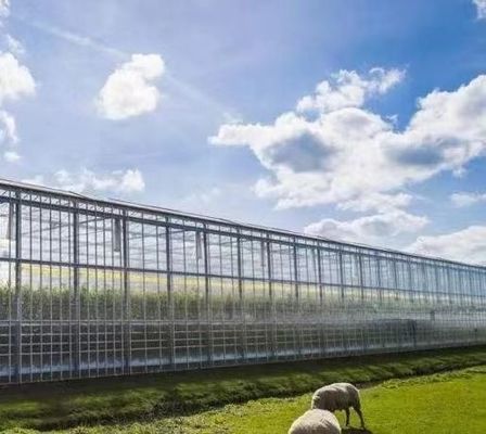 Seeding/Vegetables/Fruit/Flower Controlled Environment Hydroponic Seedling Greenhouse
